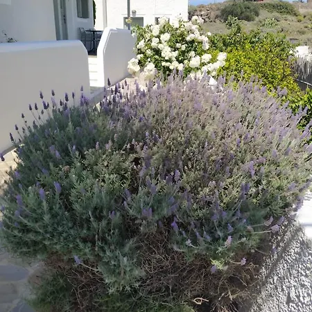 Apartment Chaido Plaka (Milos)