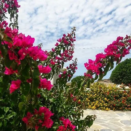 Chaido * Plaka (Milos)