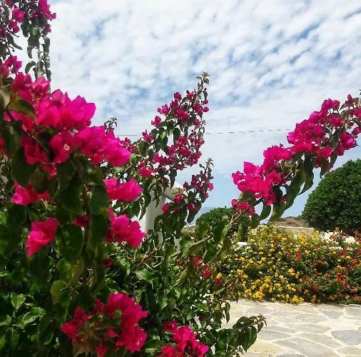 Chaido * Plaka (Milos)